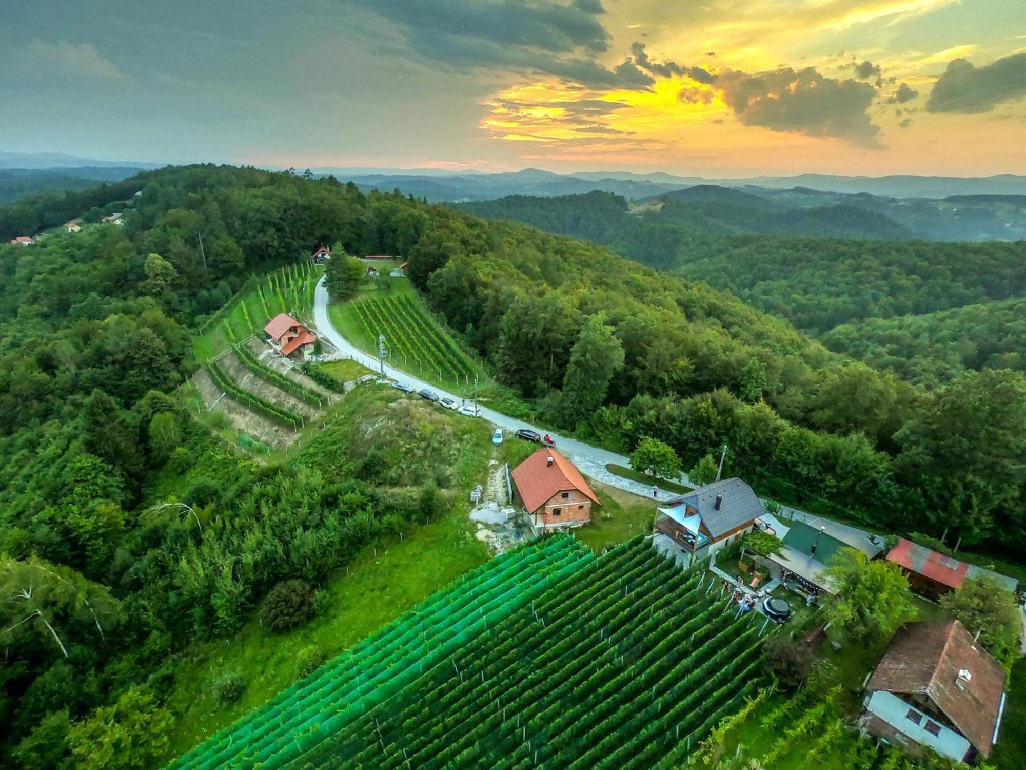 Vineyard Cottage Matej Trebnje Luaran gambar