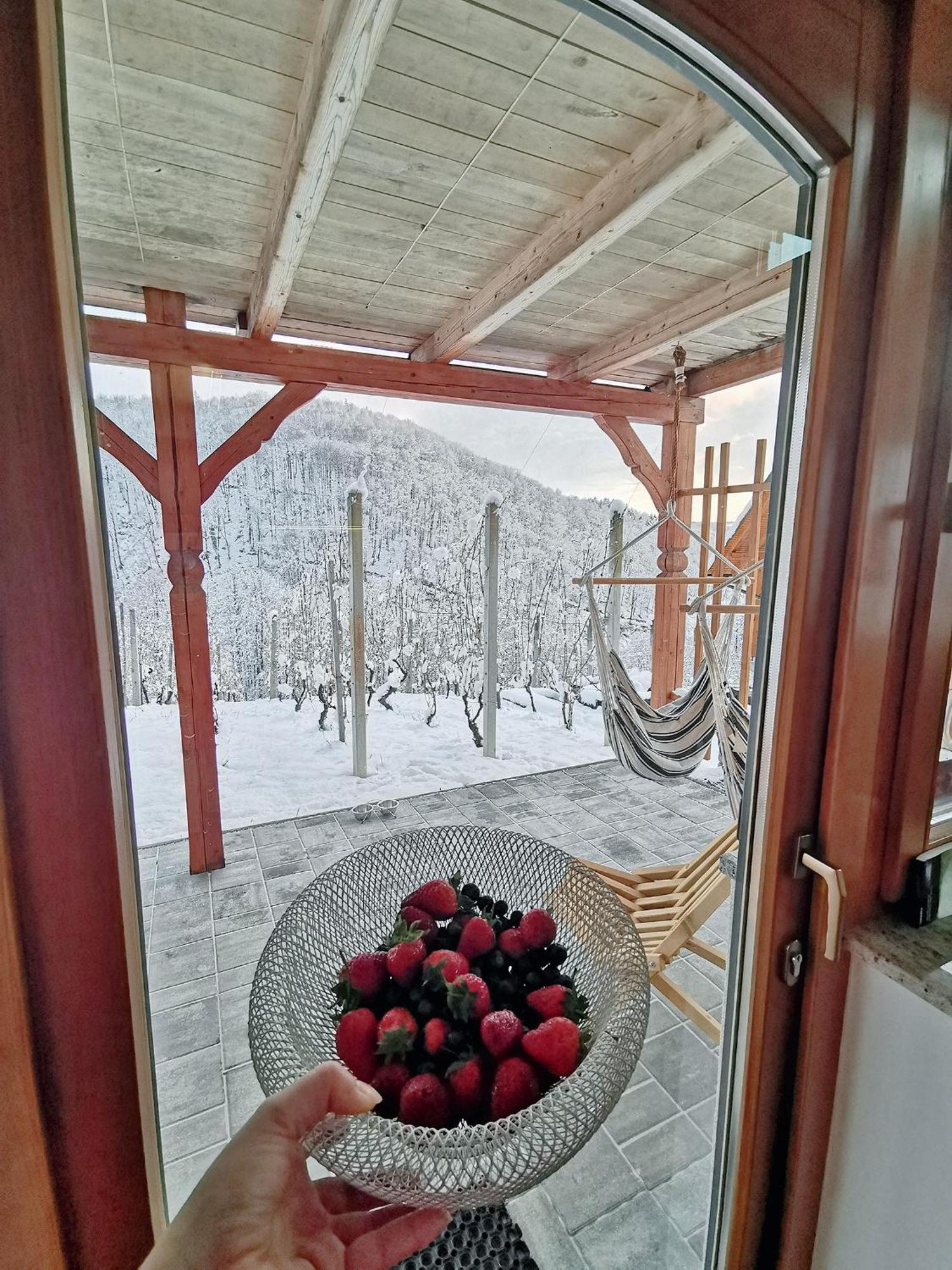 Vineyard Cottage Matej Trebnje Luaran gambar
